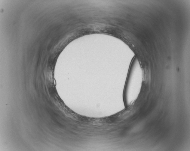 X0000052611155200507292141