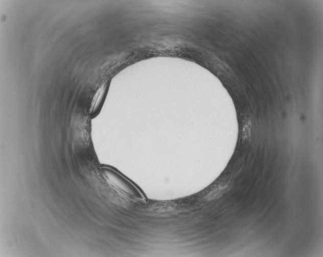 X0000052611156200507292141