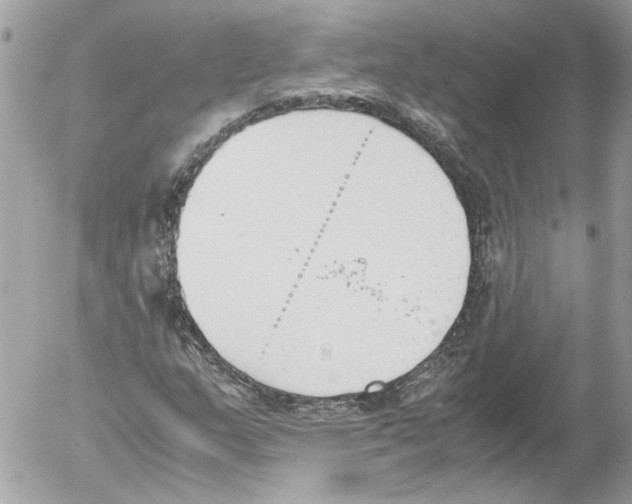 X0000052611159200507292141