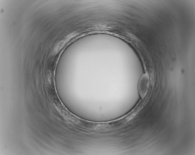 X0000052611161200507292141