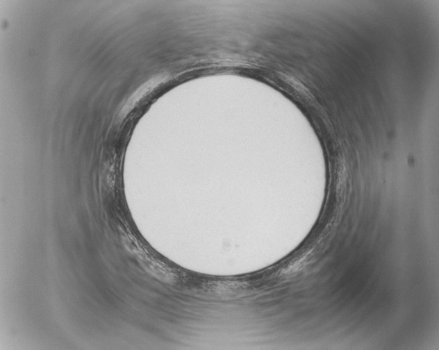 X0000052611163200507292141