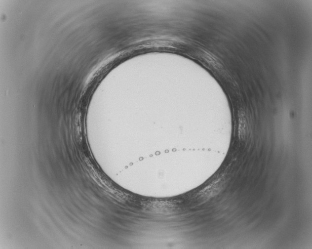 X0000052611164200507292141