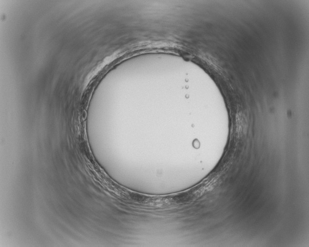 X0000052611165200507292141