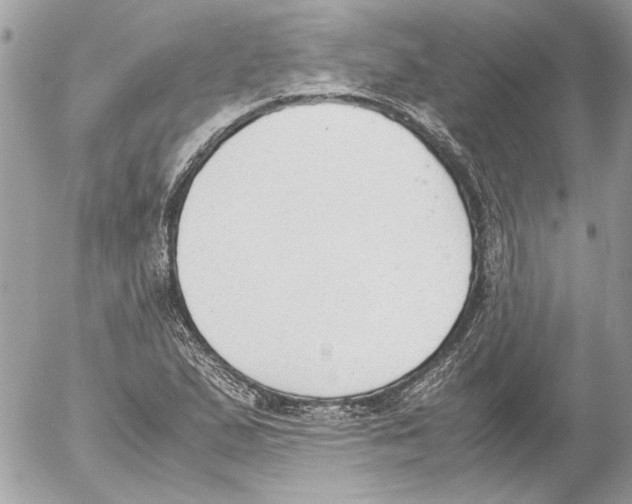 X0000052611167200507292141