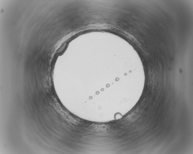 X0000052611168200507292141