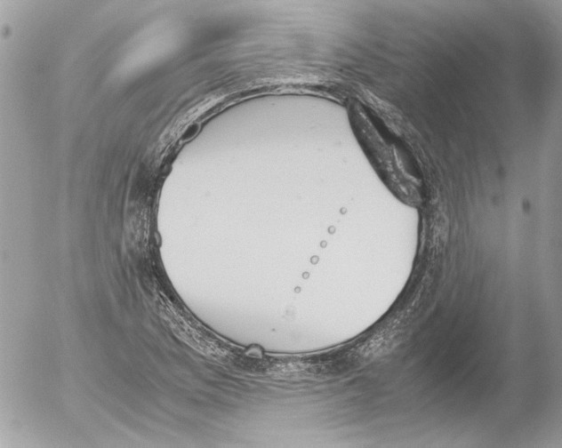 X0000052611169200507292141