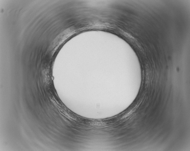 X0000052611170200507292141