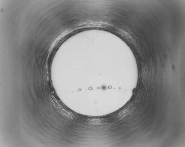 X0000052611172200507292141