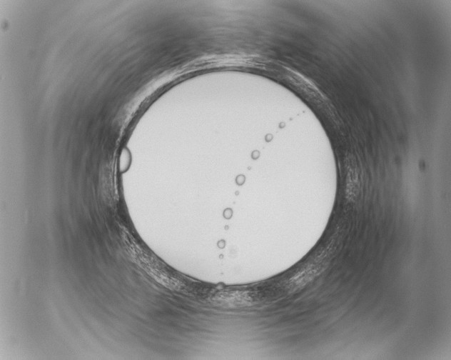 X0000052611174200507292141