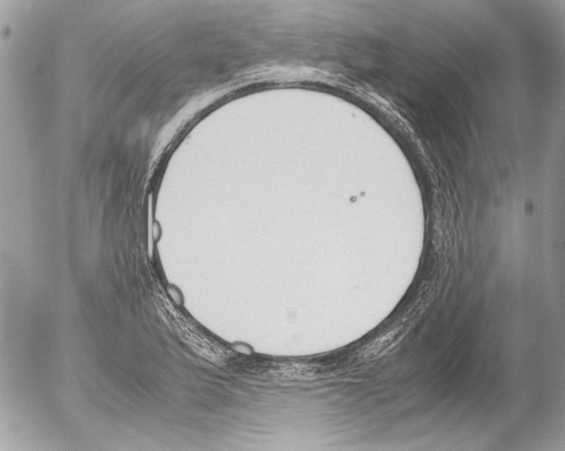 X0000052611175200507292141