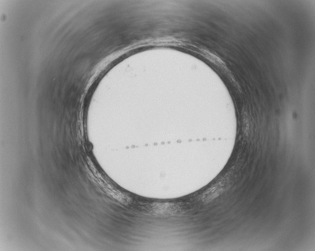 X0000052611176200507292141