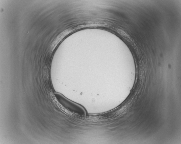 X0000052611177200507292141