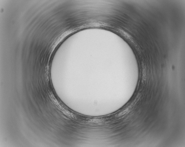 X0000052611178200507292141