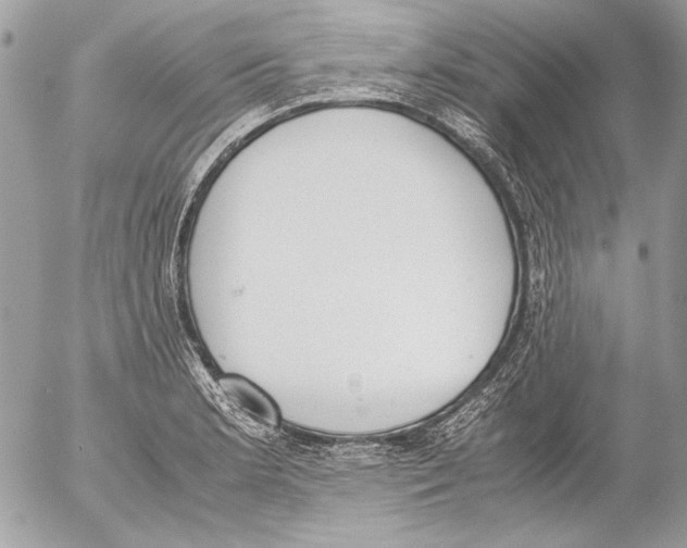 X0000052611181200507292141