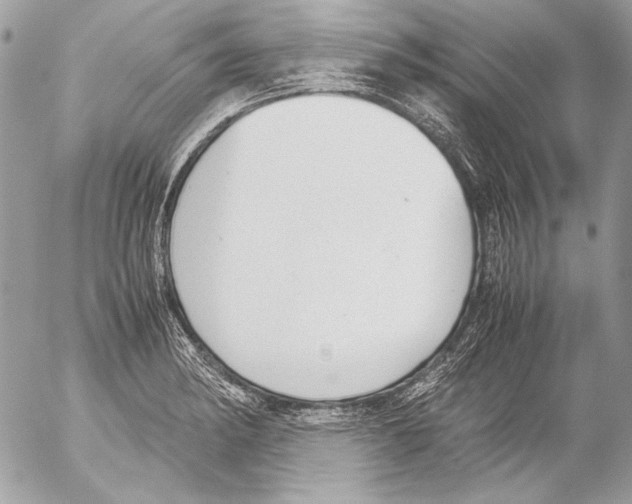 X0000052611182200507292141