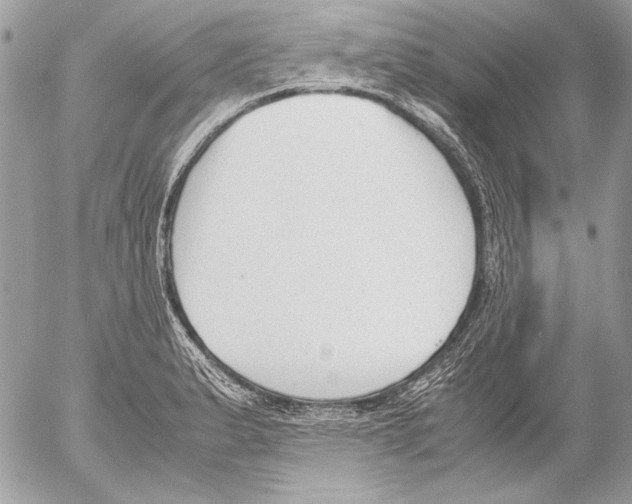 X0000052611183200507292141