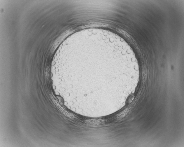 X0000052611185200507292141