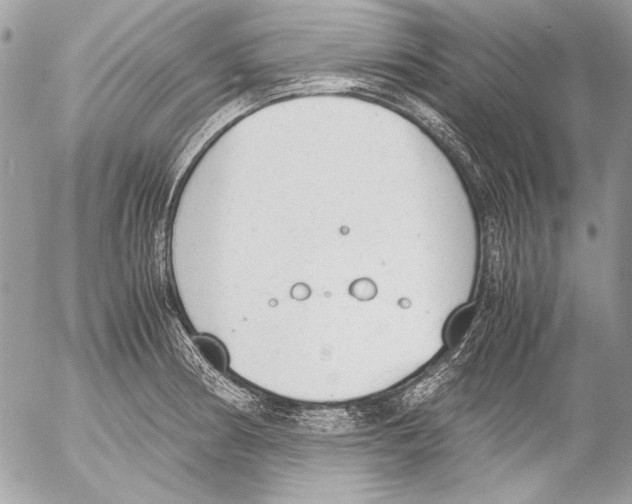 X0000052611186200507292141