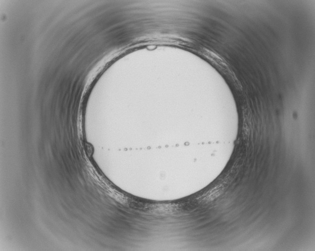 X0000052611188200507292141