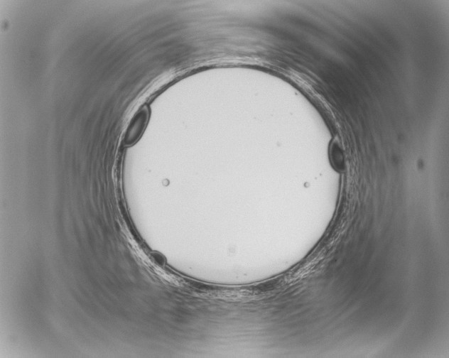 X0000052611189200507292141