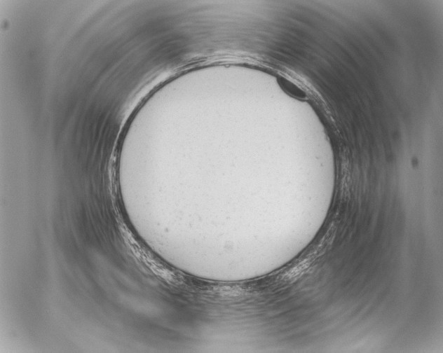 X0000052611190200507292141