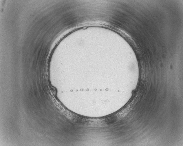 X0000052611192200507292141