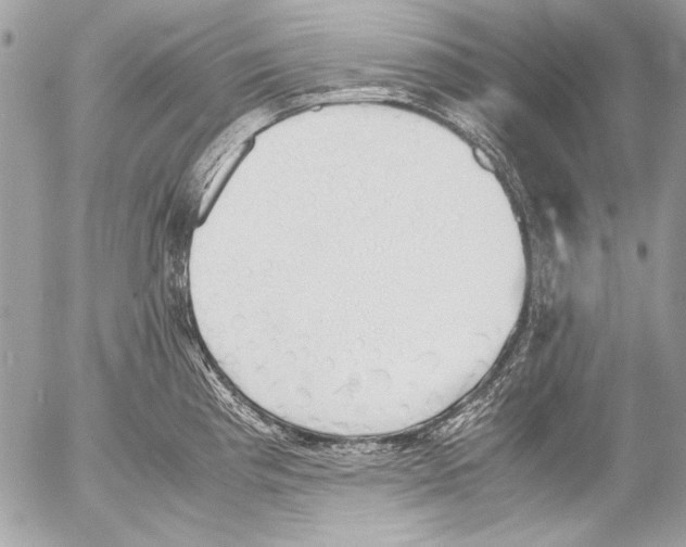 X0000052611193200507292141