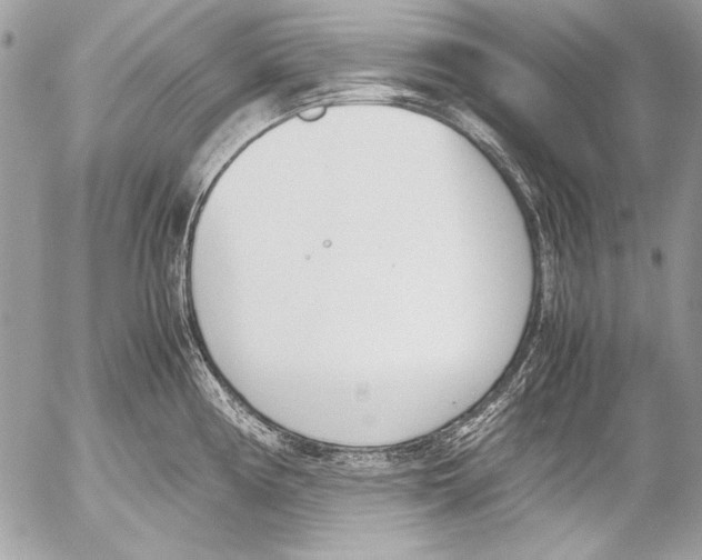 X0000052611194200507292141