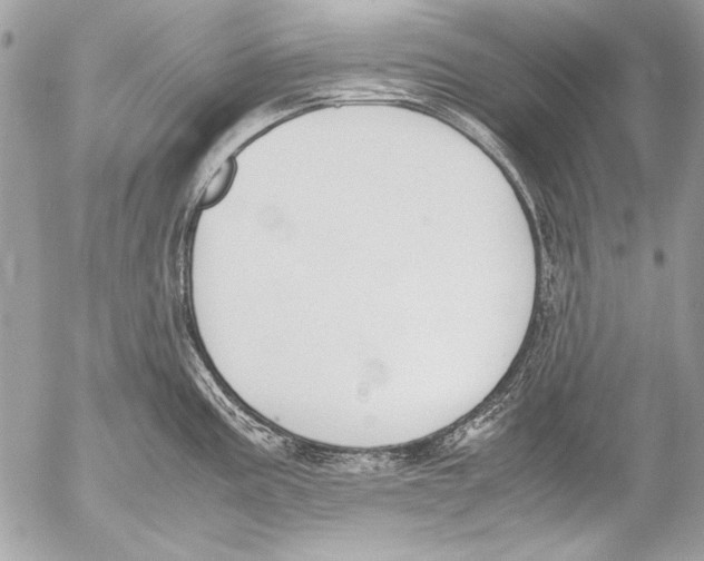 X0000052611195200507292141