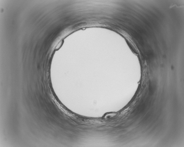 X0000052611197200507292141