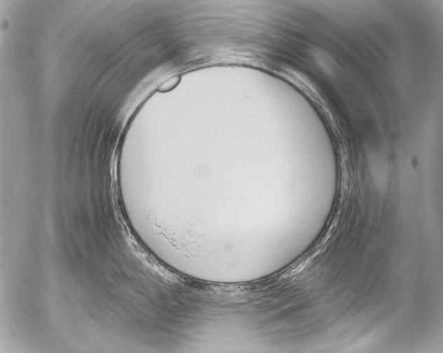 X0000052611198200507292141