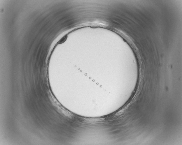 X0000052611200200507292141