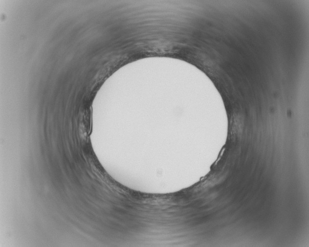 X0000052611202200507292140