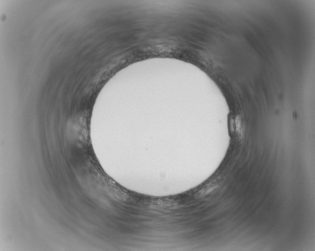 X0000052611203200507292140