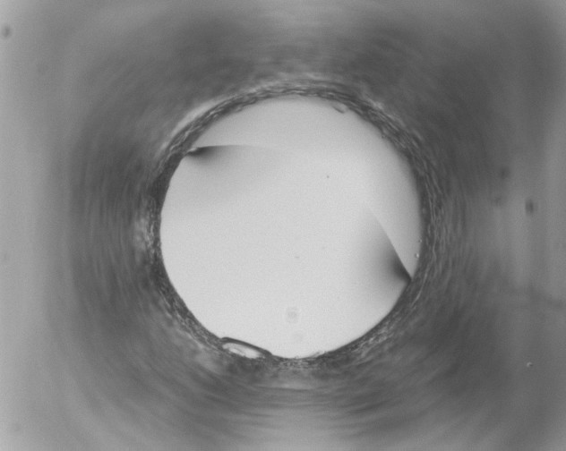 X0000052611206200507292140