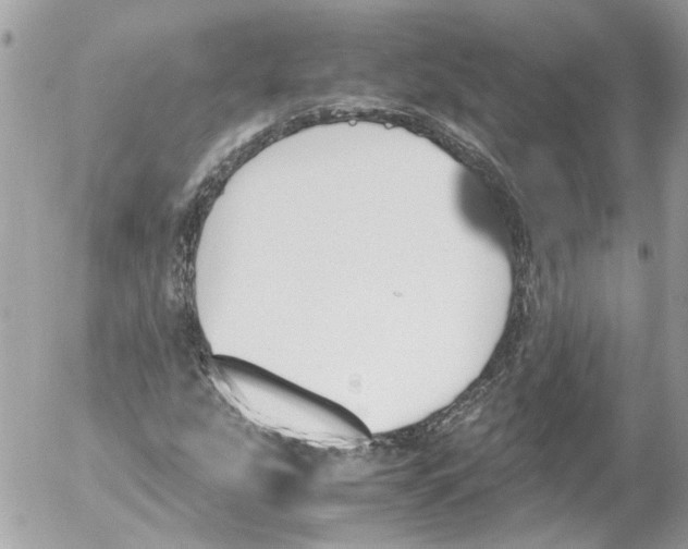 X0000052611207200507292140