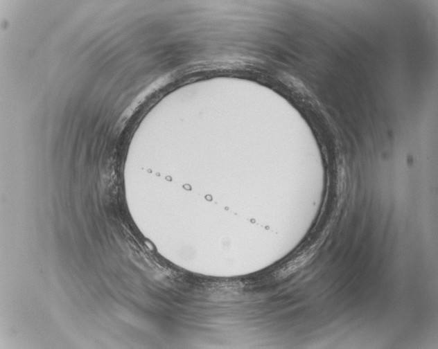 X0000052611210200507292140