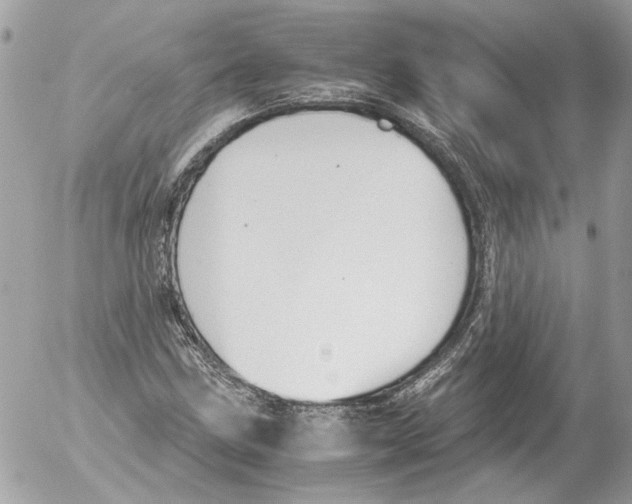 X0000052611211200507292140