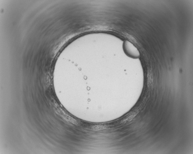 X0000052611212200507292140