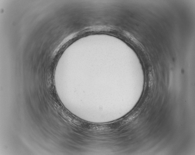 X0000052611213200507292140