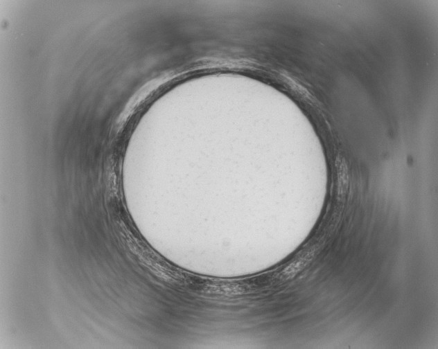 X0000052611215200507292140