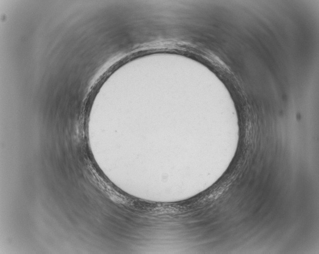 X0000052611216200507292140