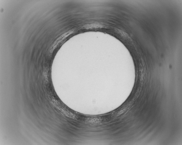 X0000052611217200507292140