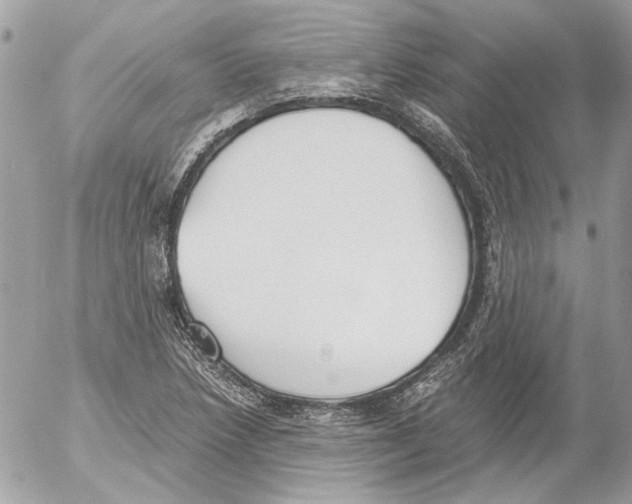 X0000052611218200507292140