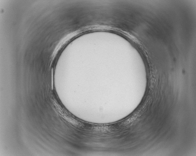 X0000052611223200507292140