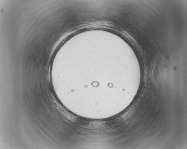 X0000052611224200507292140