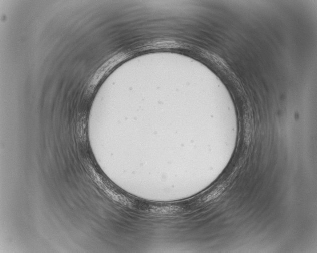 X0000052611225200507292140