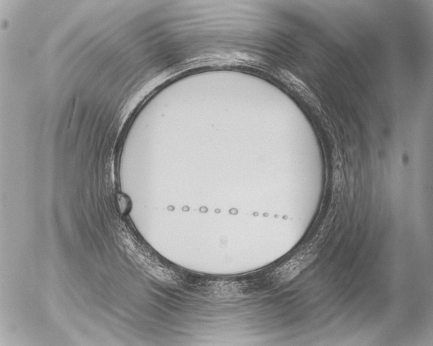 X0000052611226200507292140