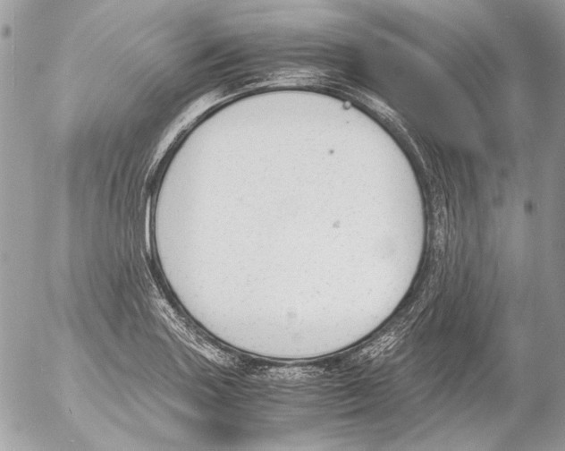 X0000052611227200507292140