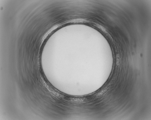 X0000052611229200507292140